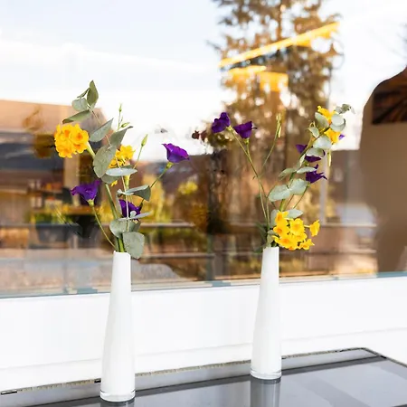 Hoeri-nest Abendsonne-appartement *